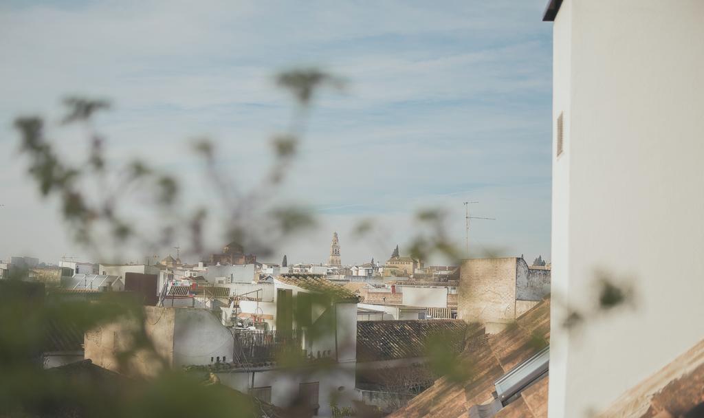 Grupo Limcotel Loft Trigo 13 Piscina Córdoba Kültér fotó